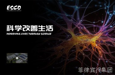 点击查看