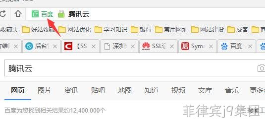 HTTPS 公司名显示2