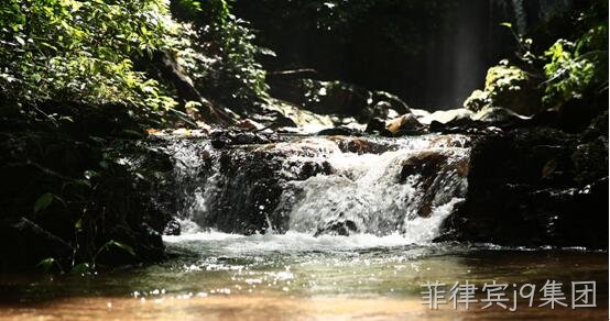 茶叶产地