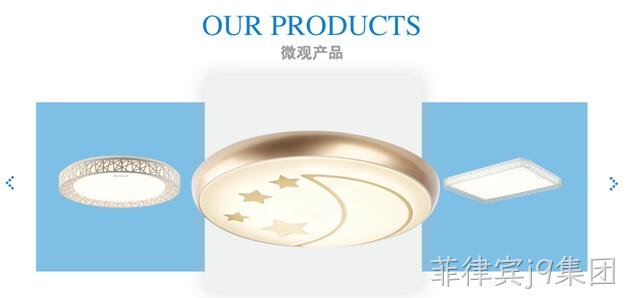 照明网站设计欣赏3