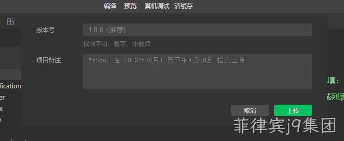 版本