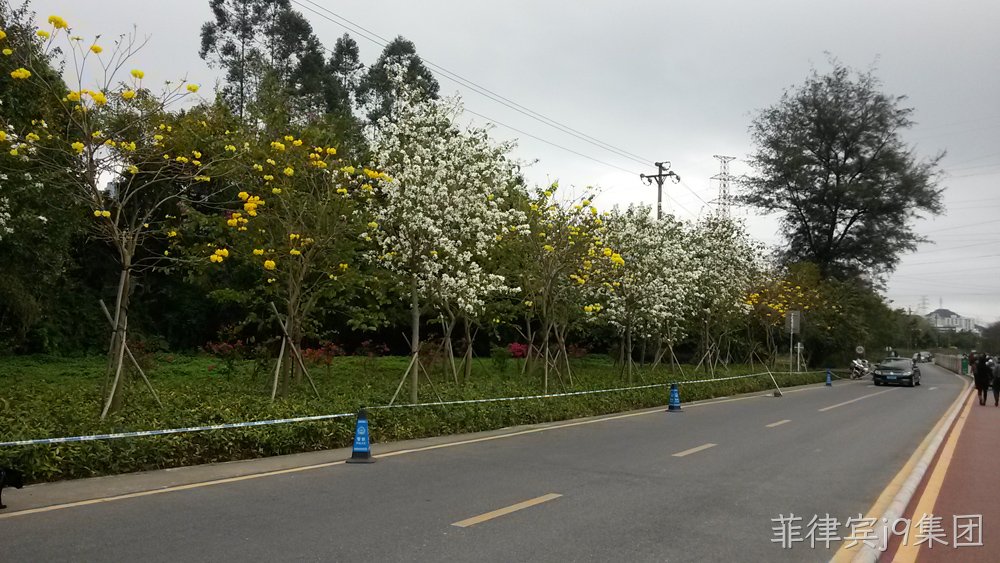 菲律宾j9集团仙湖行