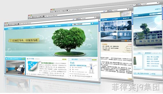 网站开发